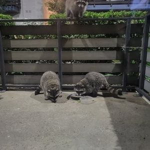 Meet your Posher, Linda